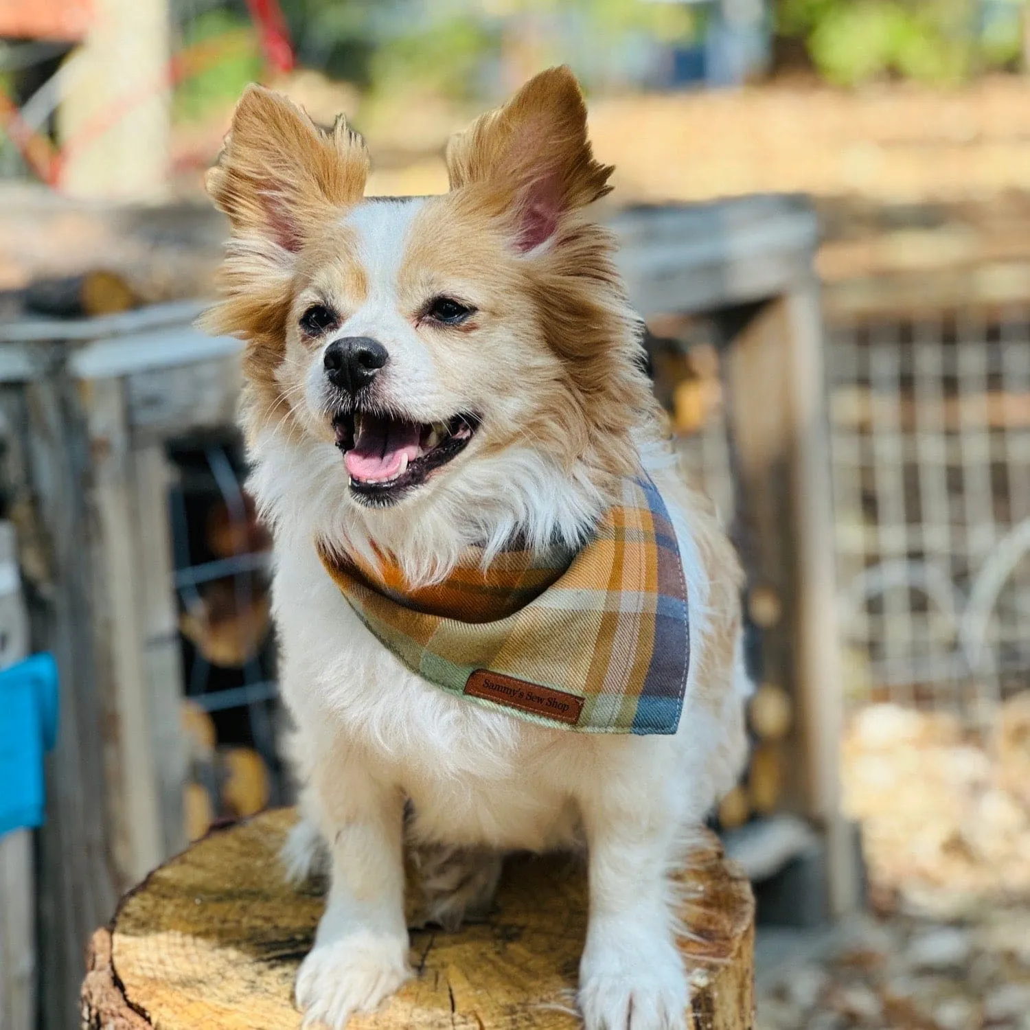 Scarecrow Plaid Dog Bandana