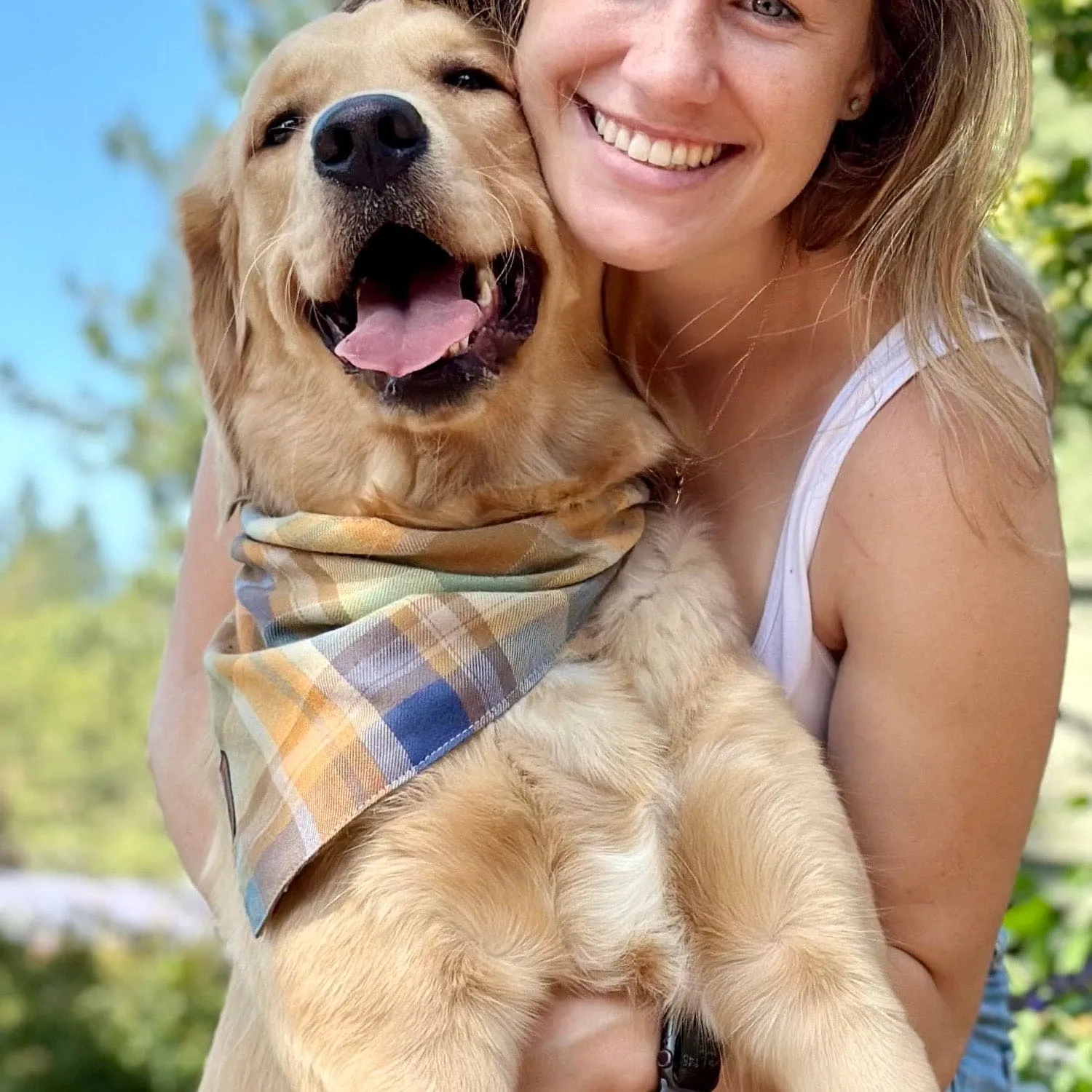 Scarecrow Plaid Dog Bandana