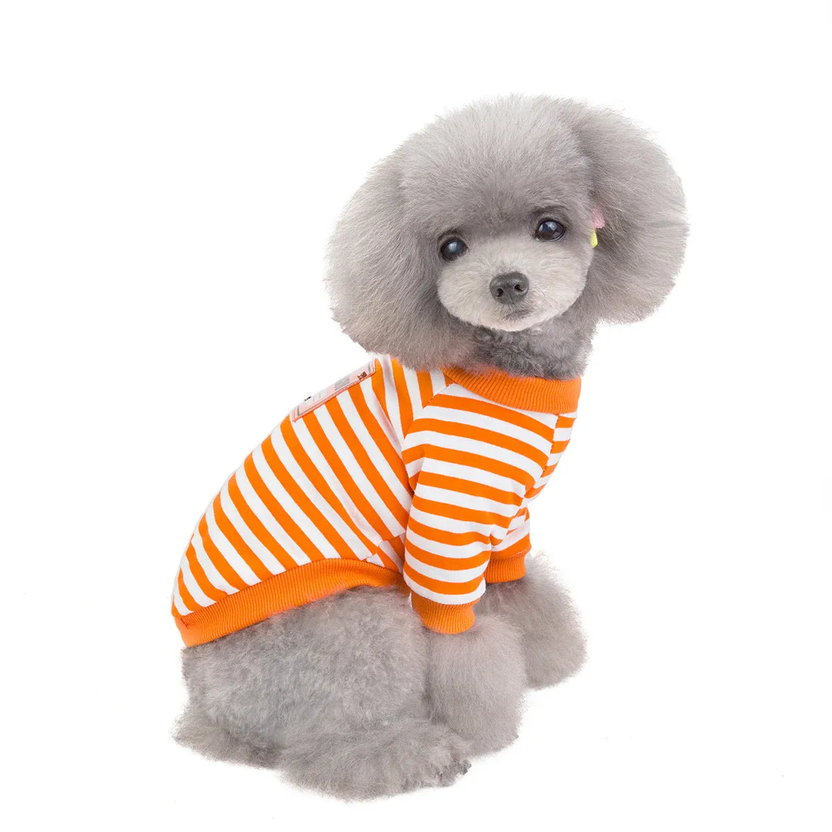 Small dog pet clothing spring striped T-shirt