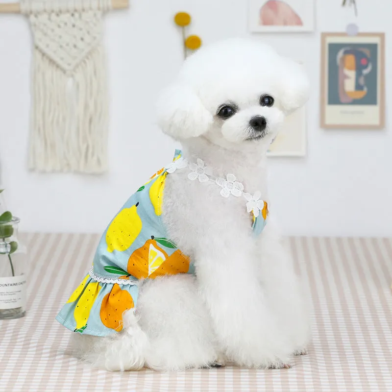 Summer cute fruit Lemon skirt pet clothing