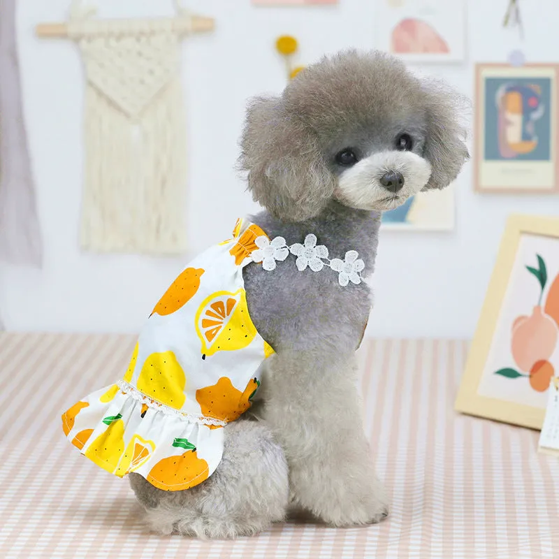 Summer cute fruit Lemon skirt pet clothing