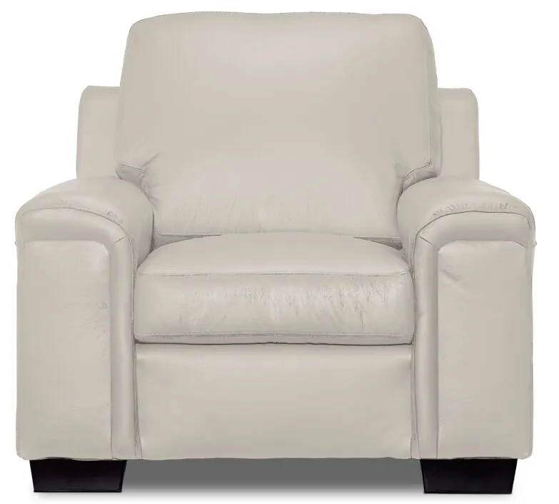 Webster Leather Chair - Silver Grey